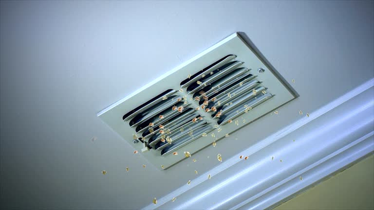 Best HVAC Duct Inspection Services  in Chincoteague, VA