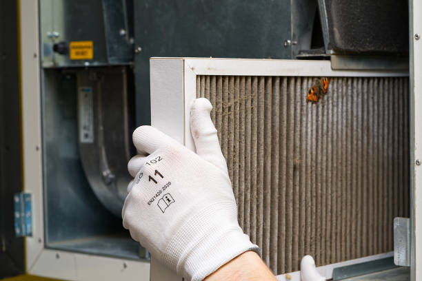 Best Ductwork Cleaning Services  in Chincoteague, VA